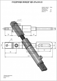  Гидроцилиндр ЦП-25х110.22